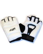 WTF Taekwondo Gloves